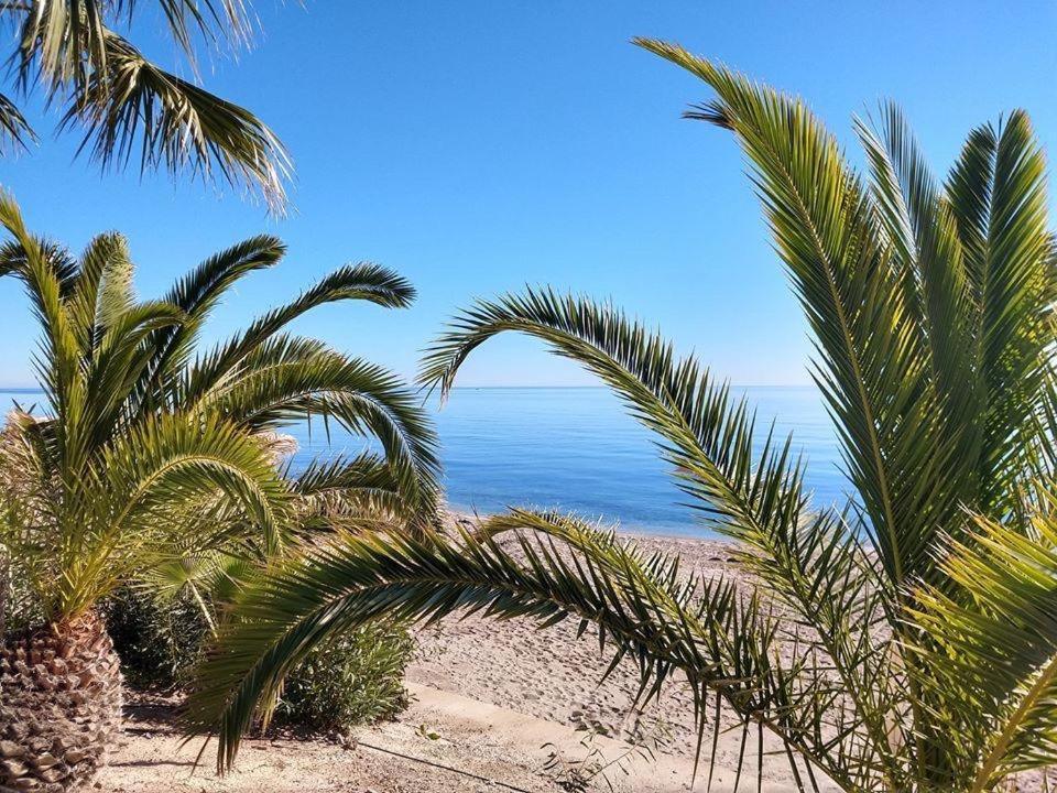 Ola Laguna Beach Vera Playa Extérieur photo